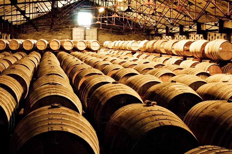 2024 Guide to Whisky Investment: Diversify Your Portfolio